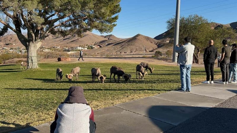 Boulder City: Hemenway Park Guided Tour - Key Points