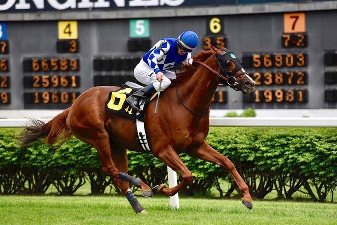 Bourbon & Derby: Makers Mark OR Buffalo trace + Churchill Down - The Optional Distillery Stops: Buffalo Trace, Woodford Reserve, and Bulleit