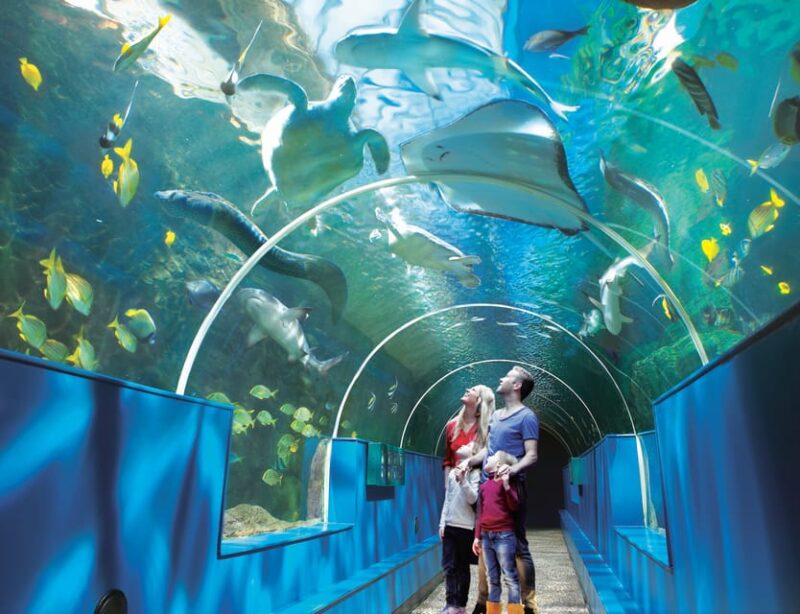 Bournemouth Oceanarium Ticket - Who Will Enjoy the Bournemouth Oceanarium Most?