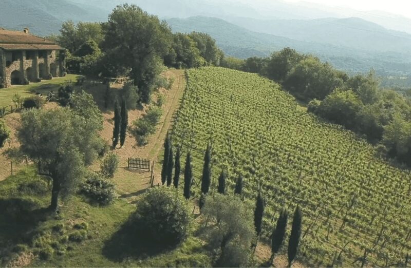 Boutique Winery Tour & Tasting in North Tuscany - What the Tour Encompasses at Podere Fedespina