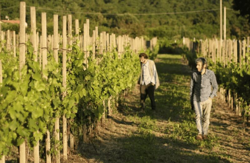 Boutique Winery Tour & Tasting in North Tuscany - Practical Details and Booking Flexibility
