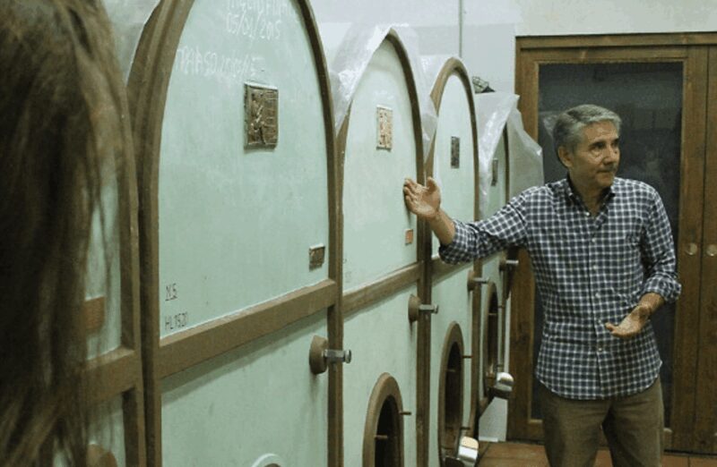 Boutique Winery Tour & Tasting in North Tuscany - Final Thoughts on the North Tuscany Boutique Winery Tour