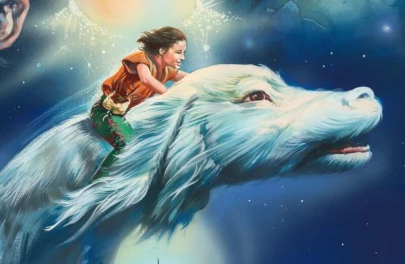 Boutique Winery Tour & Tasting in Valpolicella - Guided Tour of the Cellars and Barrel Rooms