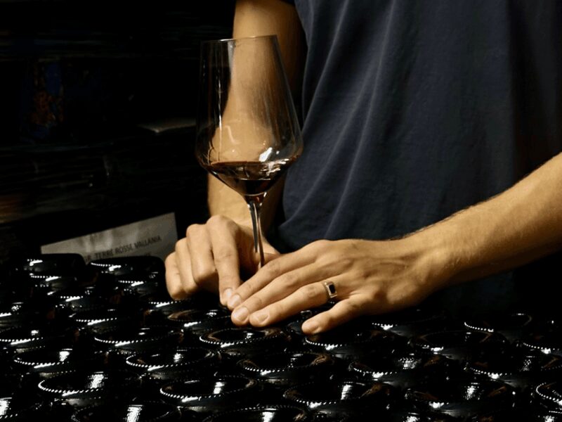 Boutique Winery Tour with Wine Tasting & Food in Bologna - Key Points