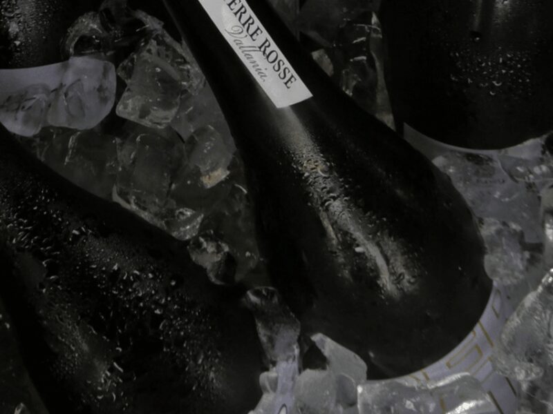 Boutique Winery Tour with Wine Tasting & Food in Bologna - Food Pairings That Celebrate Regional Cuisine