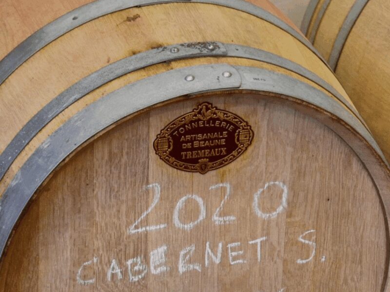 Boutique Winery Tour with Wine Tasting & Food in Bologna - Practical Details of the Tour