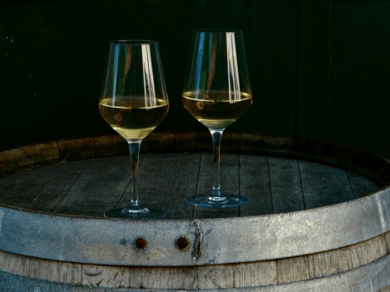 Boutique Winery Tour with Wine Tasting & Food in Bologna - Final Thoughts on the Boutique Winery Tour in Bologna