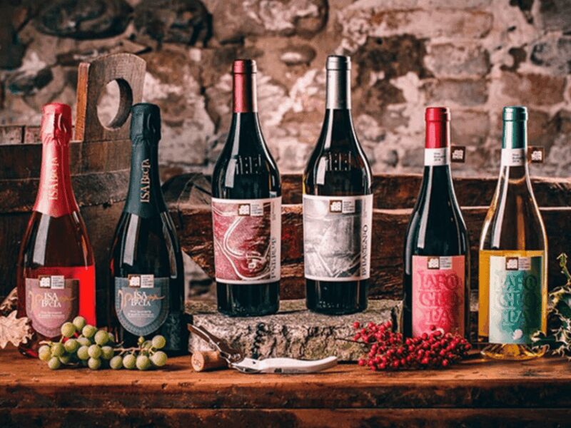 Boutique Winery Visit & 5 Organic Wine Tastings near Urbino - Key Points