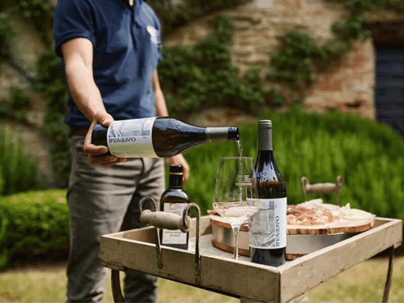 Boutique Winery Visit & 5 Organic Wine Tastings near Urbino - Walking Through the Vineyard and Learning About Organic Farming