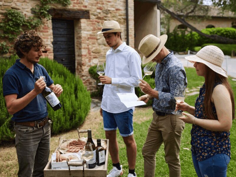 Boutique Winery Visit & 5 Organic Wine Tastings near Urbino - Tasting the Organic Wines: From Sparkling to Red and White