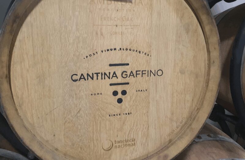 Boutique Winery Visit & Tasting near Rome - Key Points