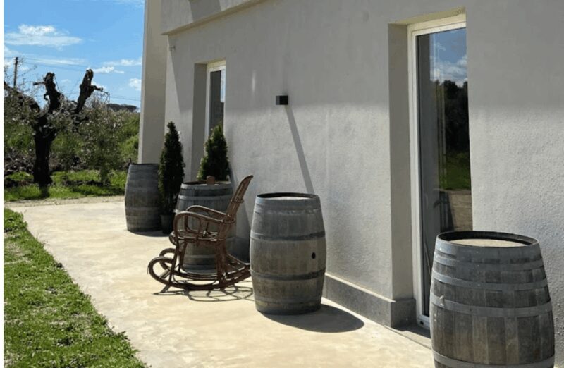 Boutique Winery Visit & Tasting near Rome - Tasting Four Curated Wines Paired with Local Food