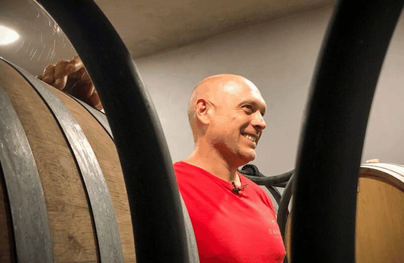 Boutique Winery Visit & Tasting near Rome - Insights into Rome’s Winemaking History