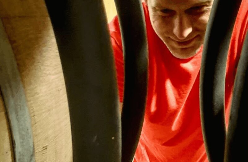 Boutique Winery Visit & Tasting near Rome - Reviews and Feedback on the Experience