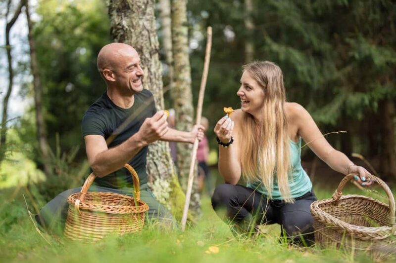 Bovec: It Smells Like Mushrooms - Key Points