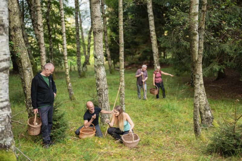 Bovec: It Smells Like Mushrooms - Introduction to the Bovec Mushroom Experience