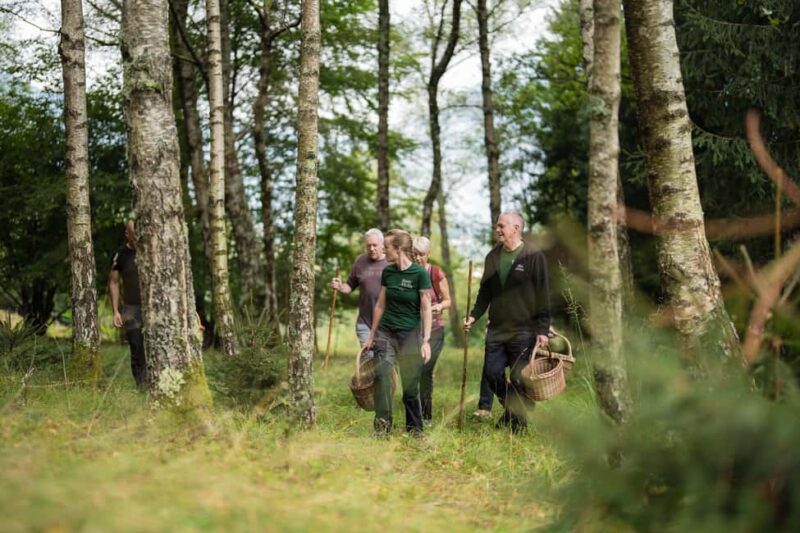 Bovec: It Smells Like Mushrooms - Starting the Day with a Local Breakfast at Bovec kitchn