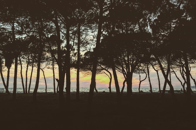 Bovilla Lake, Gamti Mountain, and Kruja Fortress. Acc in Tirana - Return Journey and Final Relaxation in Tirana