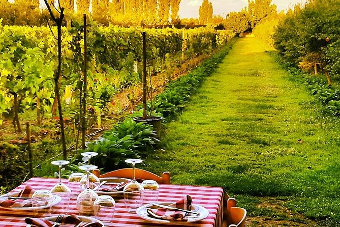 Bovilla Lake, Gamti Mountain, and Kruja Fortress. Acc in Tirana - Why Choose This Tirana Day Trip