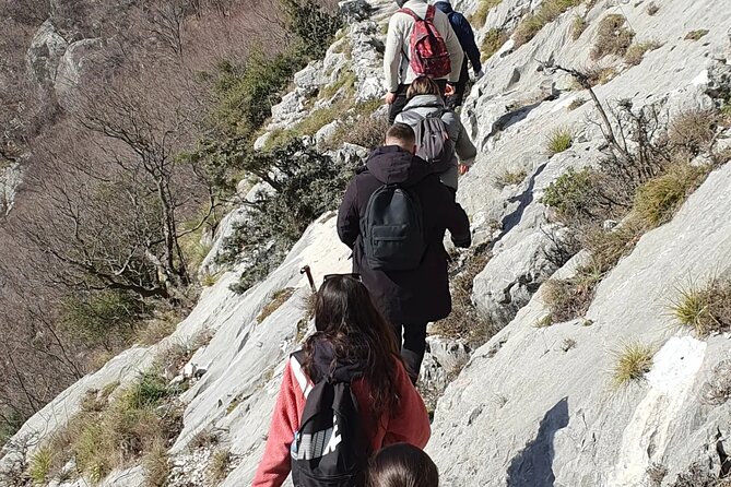 Bovilla lake Hiking Experience - Comparing the Bovilla Lake Tour to Similar Experiences