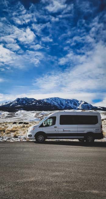 Bozeman: 6 Day Yellowstone Winter Wonderland Tour - Prime Wolf Tracking Opportunities in Yellowstone