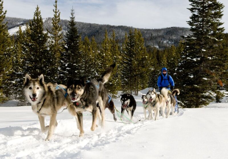 Bozeman: 6 Day Yellowstone Winter Wonderland Tour - Practical Details: Logistics and Inclusions