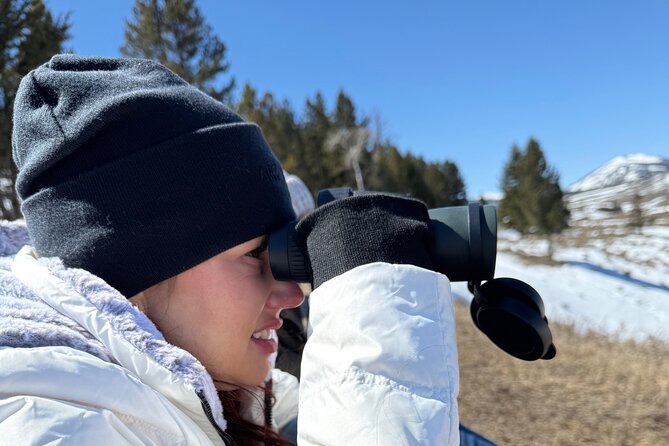Bozeman Winter Wildlife Safari, Lamar Valley, Burrito and Lunch - Physical Requirements and Accessibility