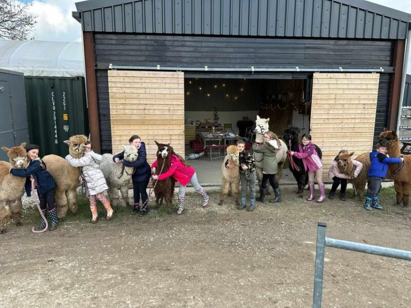 Brackenfield: Alpaca Trek - Practical Details: Meeting Point, Accessibility, and What to Bring