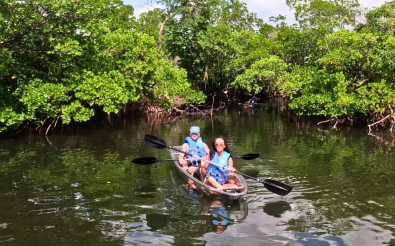 Bradenton: Clear Kayak Mangrove Tunnel Eco Tour - Kayak Details and Safety Equipment