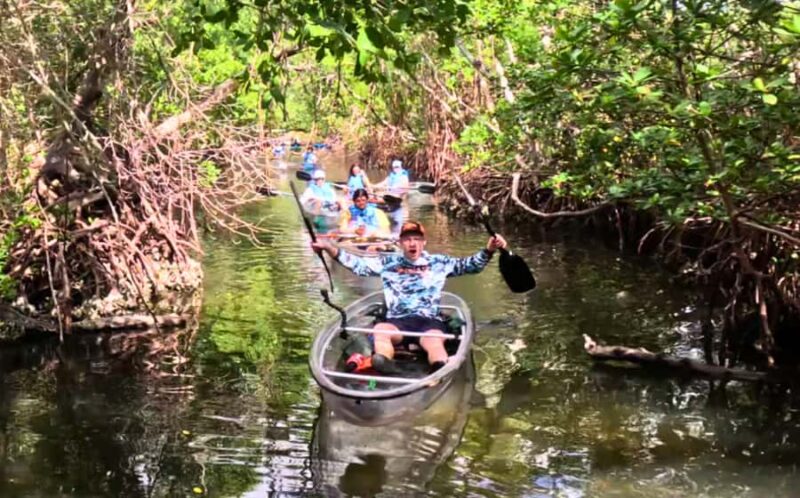 Bradenton: Clear Kayak Mangrove Tunnel Eco Tour - Tour Pacing and Experience Flow
