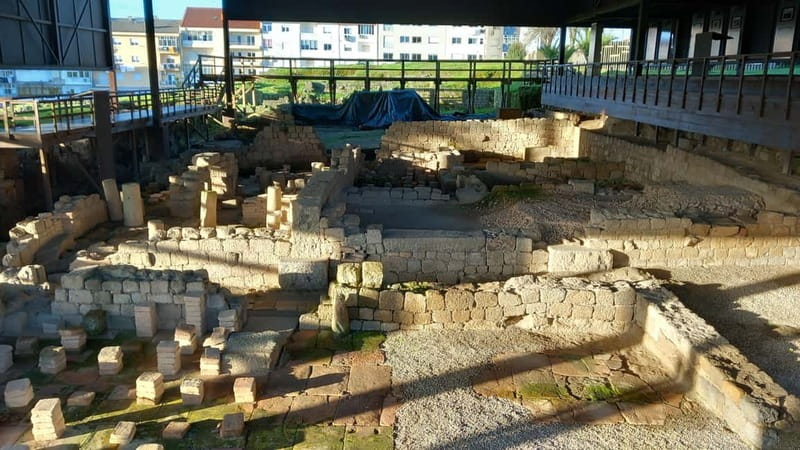 Braga: Centre Private Walking Tour w/ Thermal Spring Entry - Relaxing at Santa Barbara Garden and Its Cultural Significance