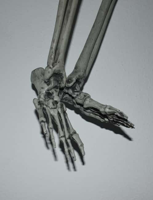 Braga: Escape Room, Haunted Mansion - The Role of the Game Master in Maintaining Flow