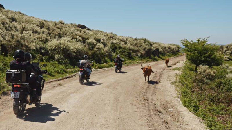 Braga: Motorcycle Adventure through Gerês - Explore Northern Portugal on a Powerful Motorcycle