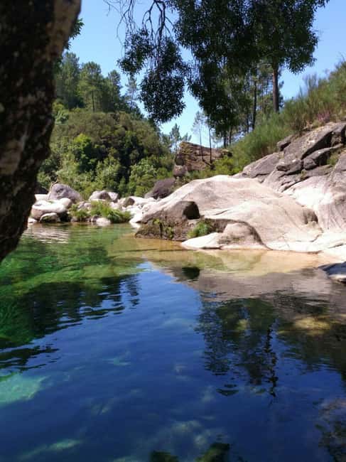 Braga or Gerês: a private, tailor-made nature experience with a French-speaking host - Starting the Day with a Personalized Pick-Up in Braga