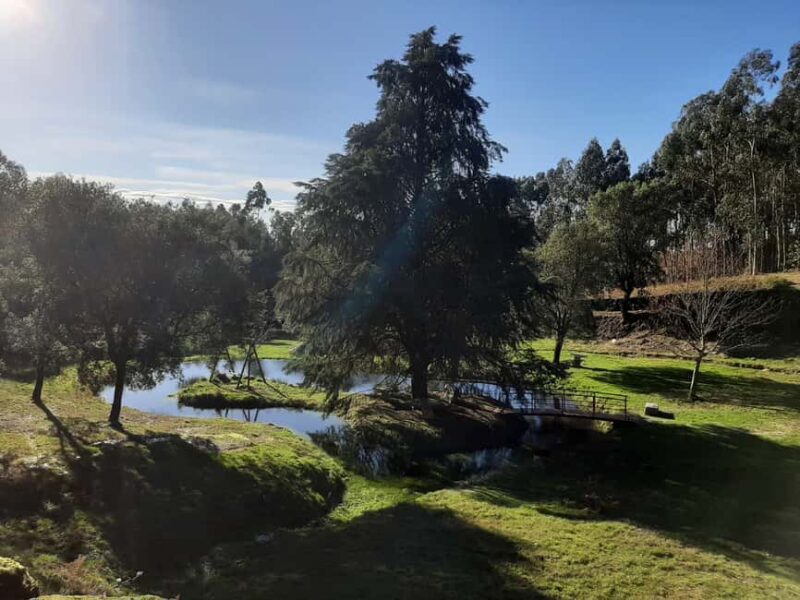 Braga or Gerês: a private, tailor-made nature experience with a French-speaking host - The Picnic in Gerês and Return to Braga
