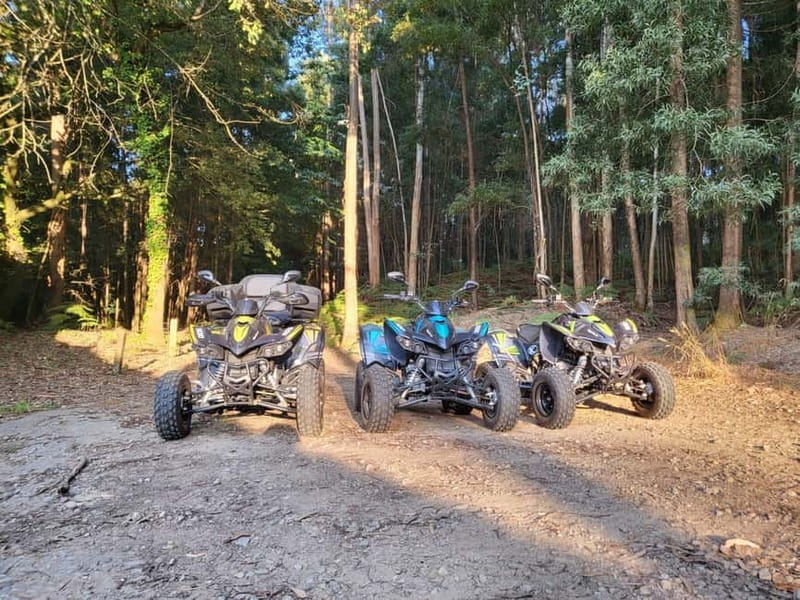 Braga: Quad bike ride, experience the adventure in Braga with Quad Paradise! - Physical Requirements and Age Restrictions