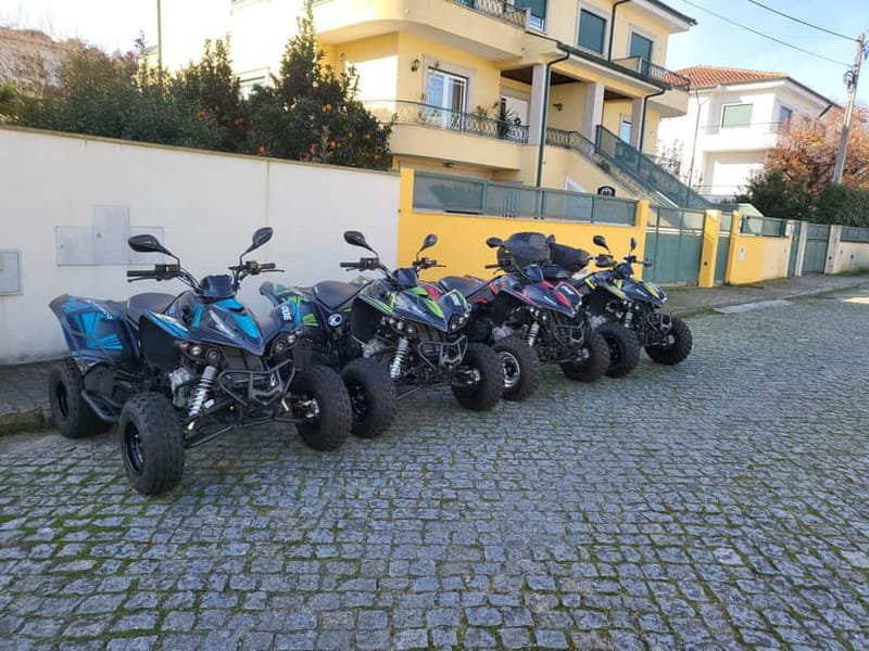 Braga: Quad bike ride, experience the adventure in Braga with Quad Paradise! - Reviews Highlighting the Experience