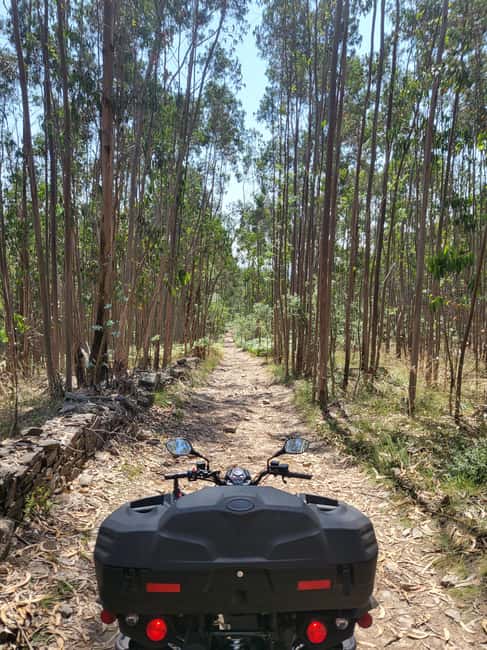 Braga: Quad bike ride, experience the adventure in Braga with Quad Paradise! - The Sum Up: An Engaging and Safe Way to Explore Braga