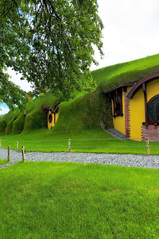 Bran Castle and Magic Park Day Trip with Transportation - Santa’s Village and Interactive Holiday Adventures