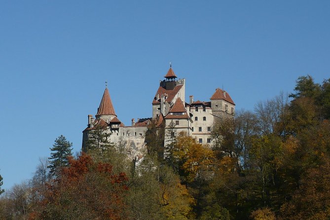 Bran Castle and more options tour from Brasov - Explore a Private Day Trip from Brasov for Transylvania’s Top Sites