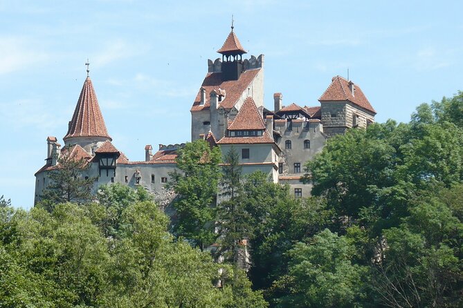 Bran Castle and more options tour from Brasov - Fortified Churches and Their Unique Architecture