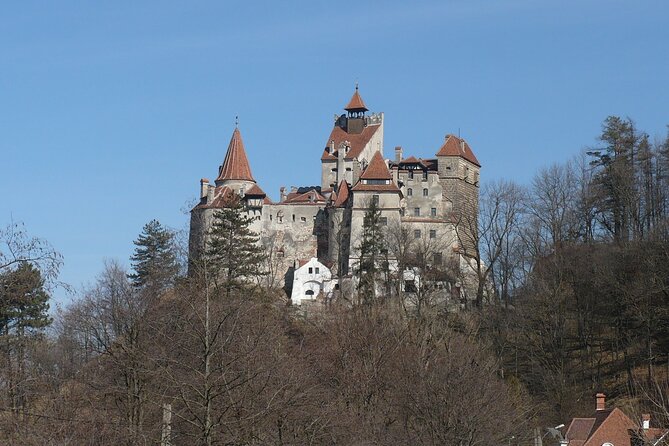 Bran Castle and more options tour from Brasov - The Experience of the Guide and Overall Pacing