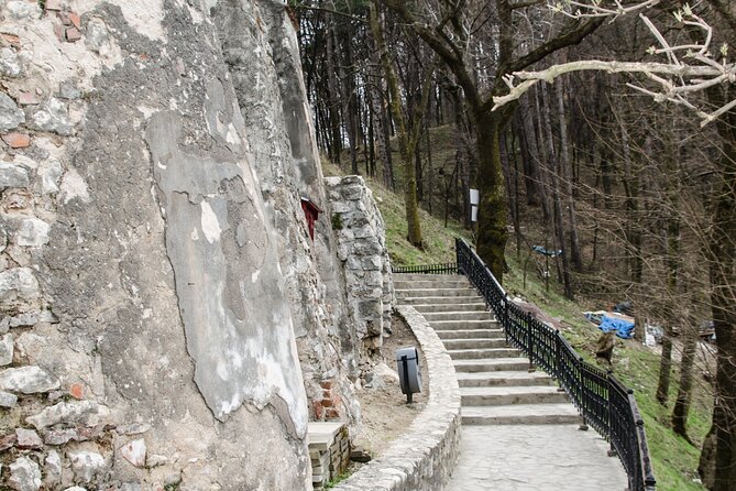 Bran Castle, Bear Sanctuary, and Rasnov Fortress Half Day Tour - Starting Point and Transportation Details in Brasov