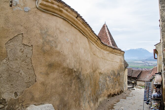 Bran Castle, Bear Sanctuary, and Rasnov Fortress Half Day Tour - Practical Details and Tour Amenities