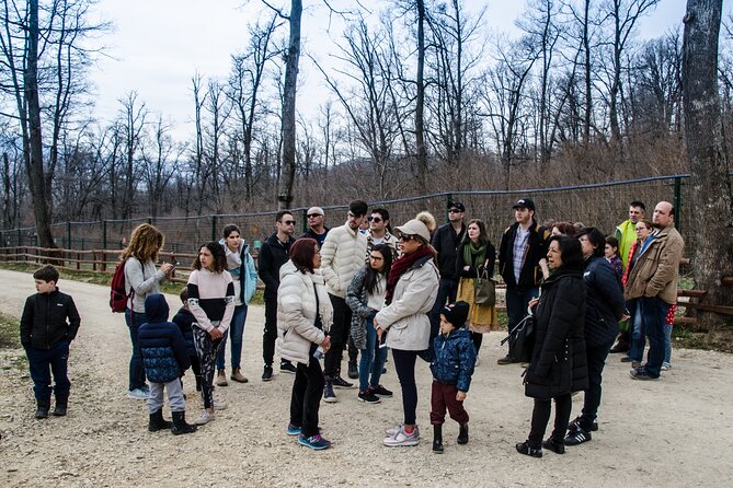 Bran Castle, Bear Sanctuary, and Rasnov Fortress Half Day Tour - Tour Pacing and Overall Experience