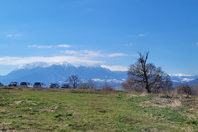 Bran Castle & Bear Sanctuary from Brasov - Optional Peles Castle - Frequently Asked Questions