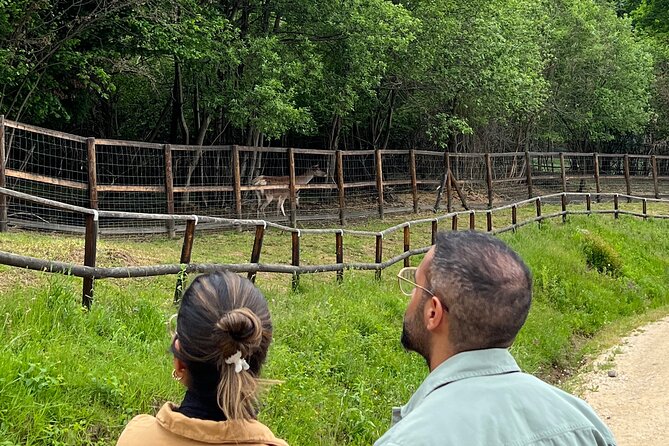 Bran (Dracula) Castle, Bear Sanctuary, Rasnov Fortress & Palinca Distillery - Libearty Bear Sanctuary: Rescued Bears in Their Natural Habitat