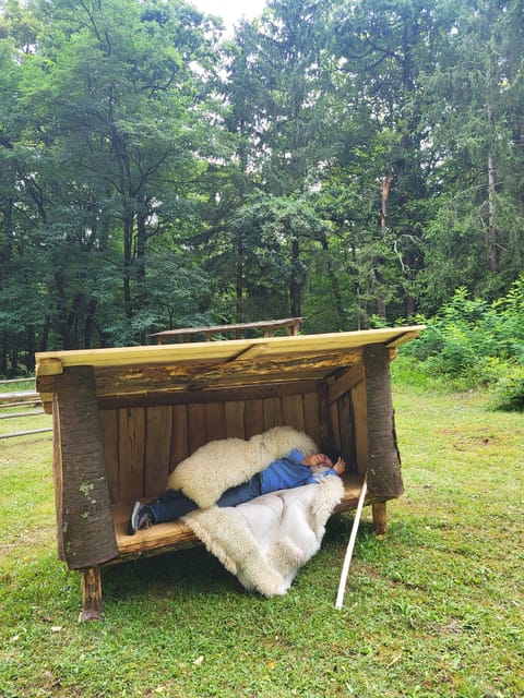 Bran - One Castle, Two Stories: Dracula and Queen Mary! - Discover the Stories Behind Bran Castles Two Legends