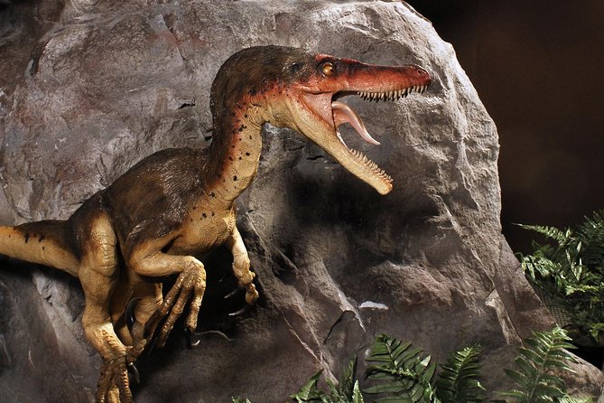 Branson Dinosaur Museum Admission Ticket - Logistical Considerations and Accessibility