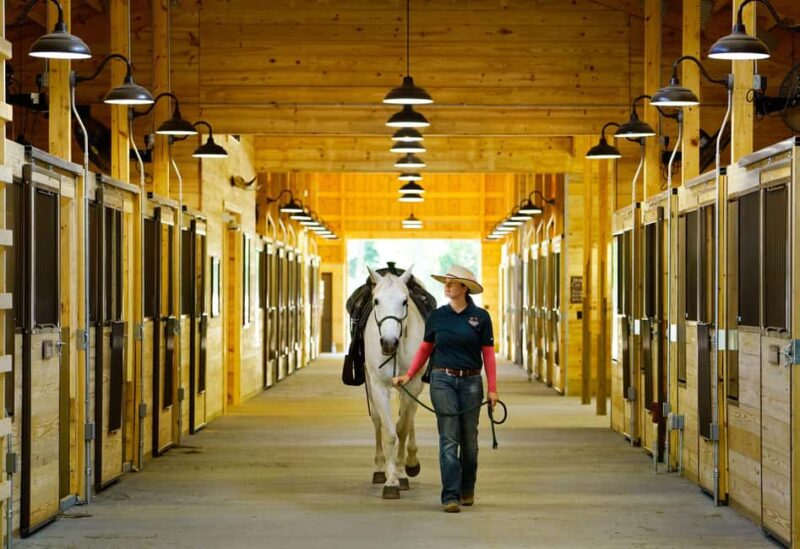 Branson: Dogwood Canyon Nature Park - Vibrant Wildlife Experiences and Scenic Tours for $20